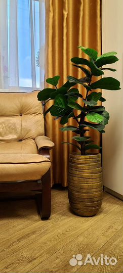 Искусственный Фикус
