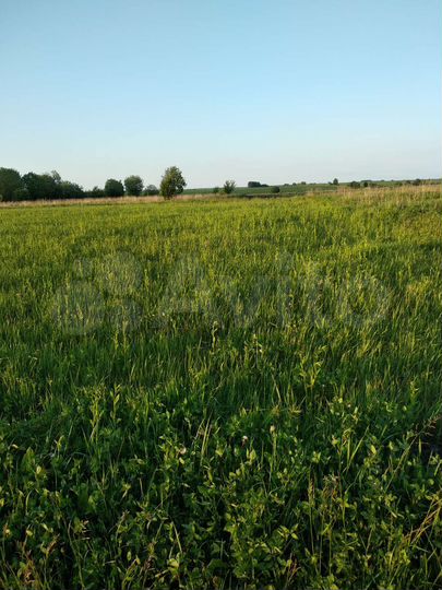 Участок 37 сот. (ИЖС)