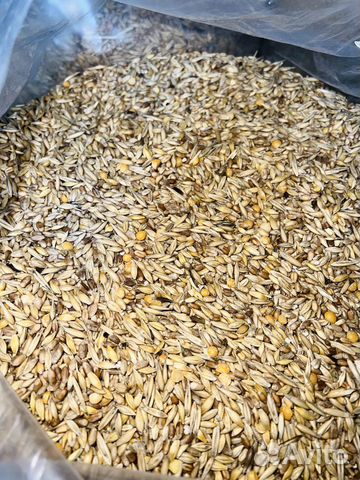 Зерно, зерносмесь, корма для сельхозживотных