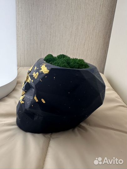 Череп с натуральным мхом