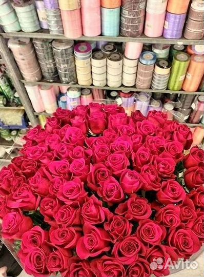 Высокие розы Гигантские розы Доставка цветов