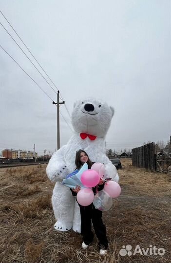 Белый медведь на праздник – арктический сюрприз