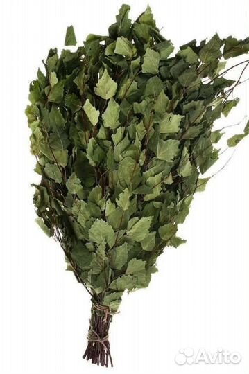 Веники для бани береза