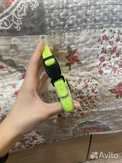 Ошейники и поводки для собак