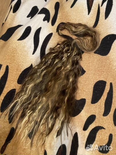 Хвост кудрявый