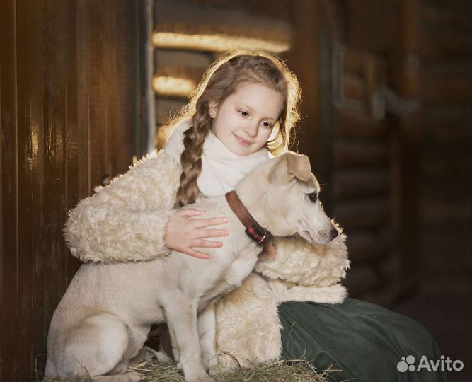 Осенняя фотосессия