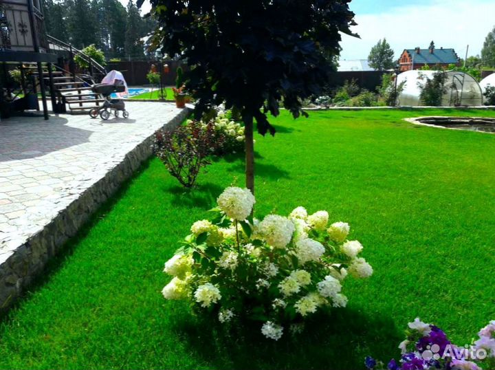 Рулонный газон с укладкой в наличии