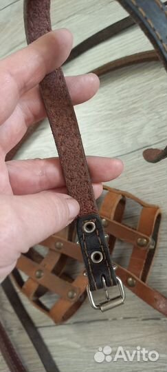 Намордник, поводок для собаки