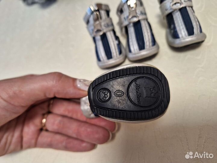 Костюм и ботинки для собаки