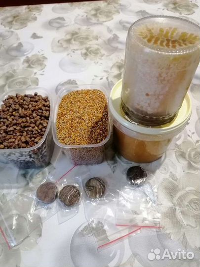 Продукты пчеловодства