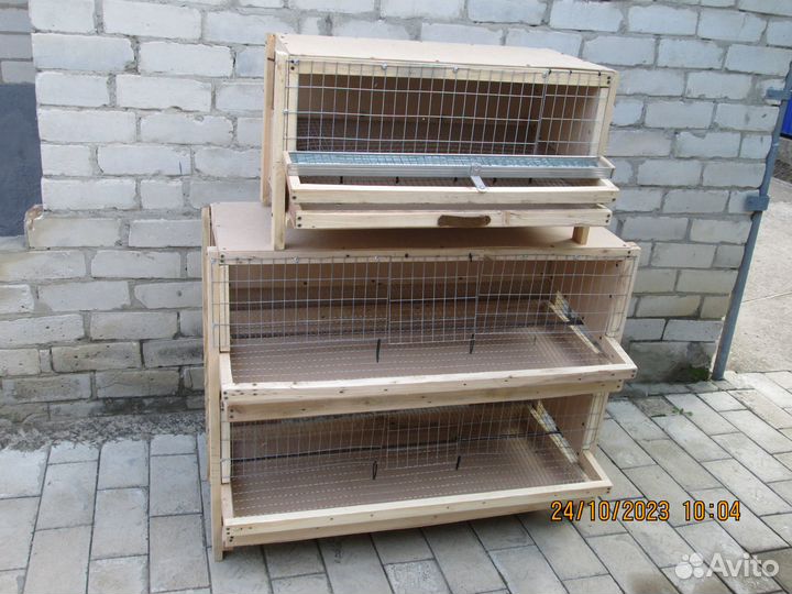 Клетка для перепелов