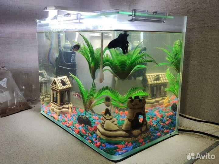 Аквариум