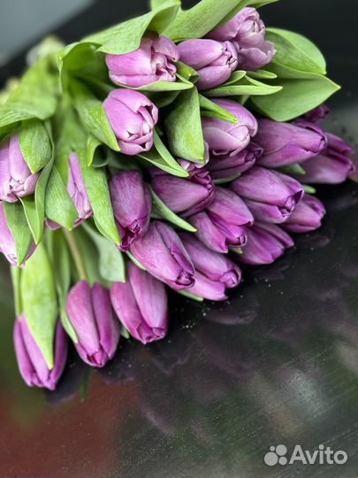 Тюльпаны оптом