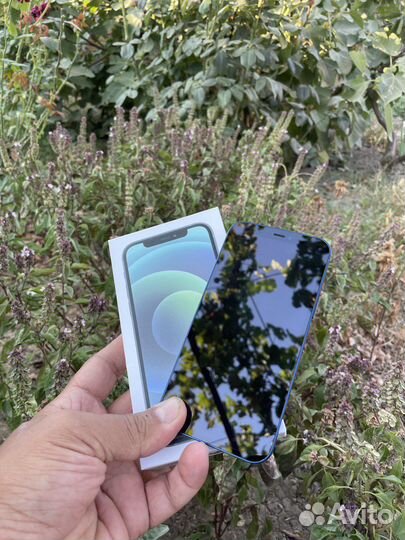 iPhone 12 128gb Blue