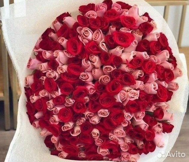 101 Роза Цветы Пионы