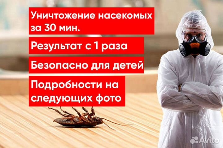 Уничтожение клопов, Уничтожение тараканов,Грызунов