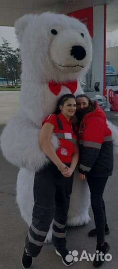 Ростовой медведь