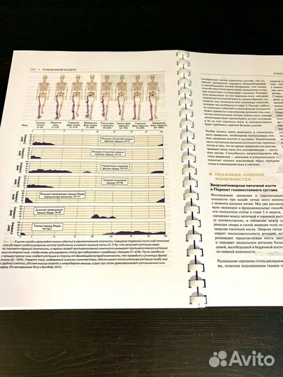Рожденный ходить. Книга