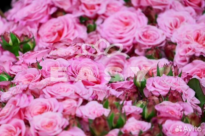 Розы Букеты Цветы 101,51 с доставкой