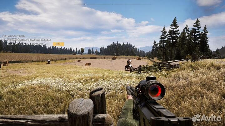 Far Cry 5 PS4/PS5 RU