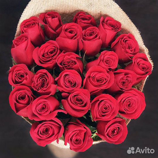 Розы 25 красные 60 см