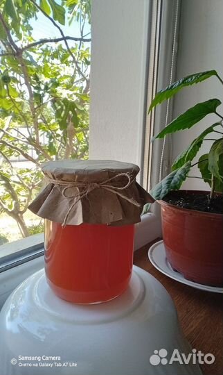 Варенье из сосновых шишек