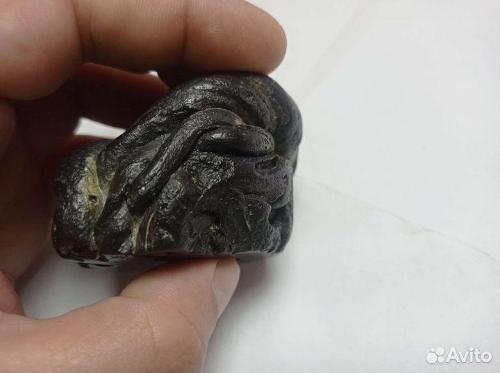 Метеорит предположительно органического состава