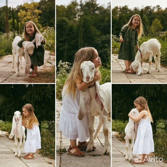 Фотограф Сочи, Адлер, Красная Поляна