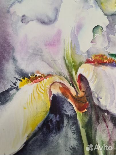 Картина акварель 
