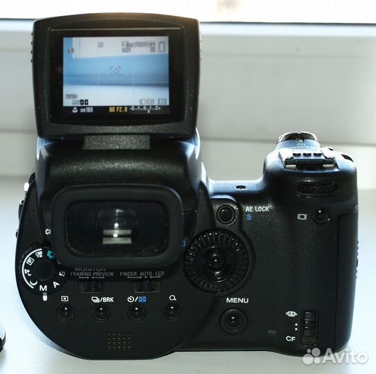 Sony DSC-R1