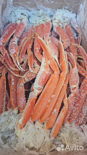 Краб Стригун клешни