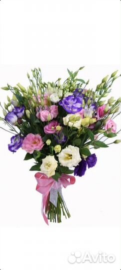 Эустома, петуния