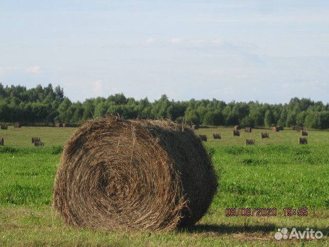 Сено рулоны 500 кг