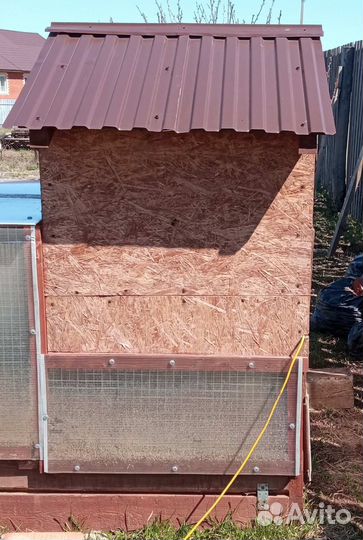 Курятник и 10 куриц