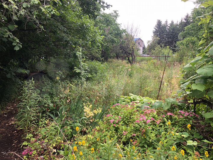 Участок 10 сот. (СНТ, ДНП)