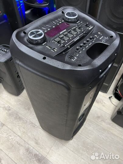 Колонка Eltronic 20-56