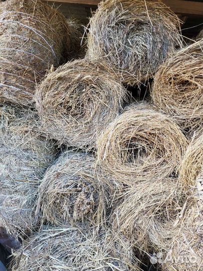 Сено люцерны в тюках