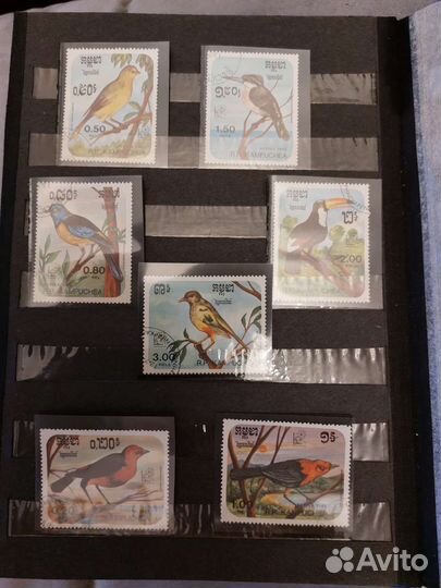 Марки фауна Птицы и рыбы разных стран