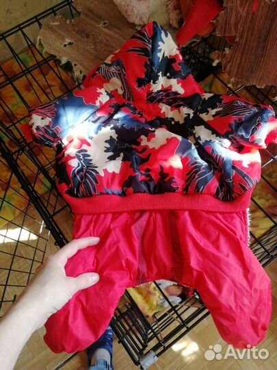 Комбинезон для маленькой собаки