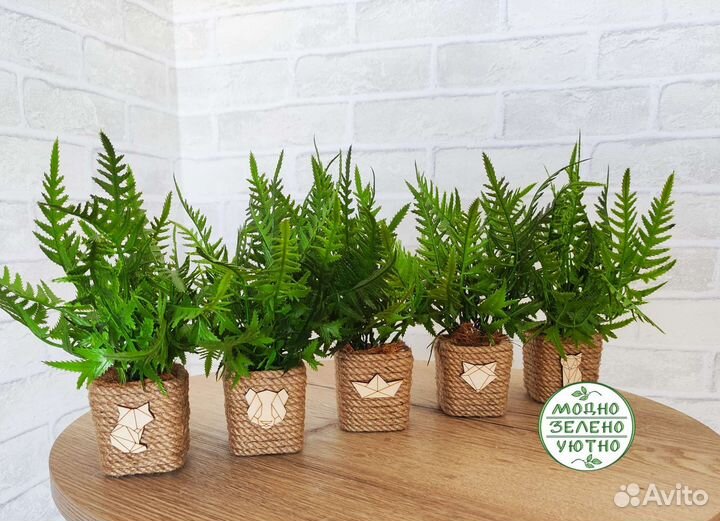 Искусственная зелень в кашпо туя папоротник бонсай