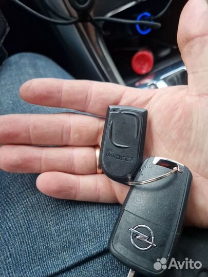 Метка pandora pandect