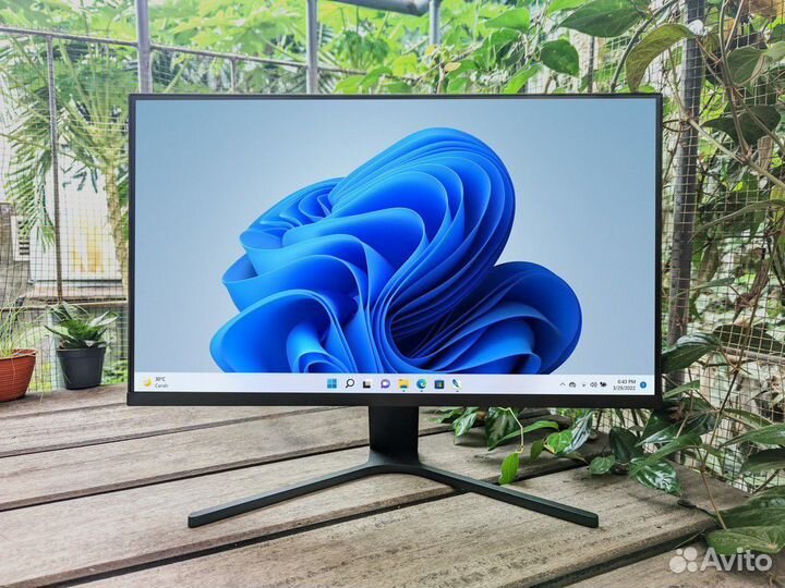 Xiaomi mi monitor 1C
