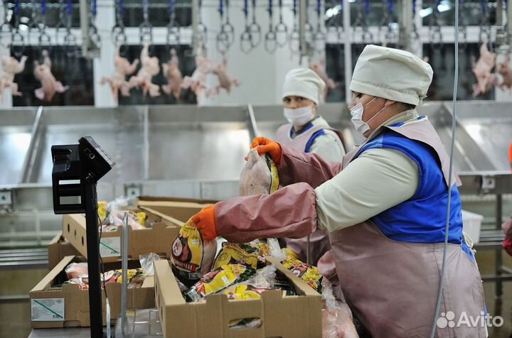 Оператор линии вахта проживание и питание