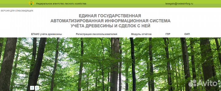 Услуги лесегаис