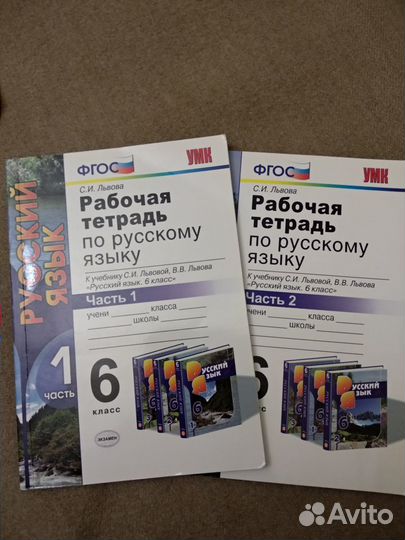 Рабочая тетрадь по русскому языку 6 класс 2 части