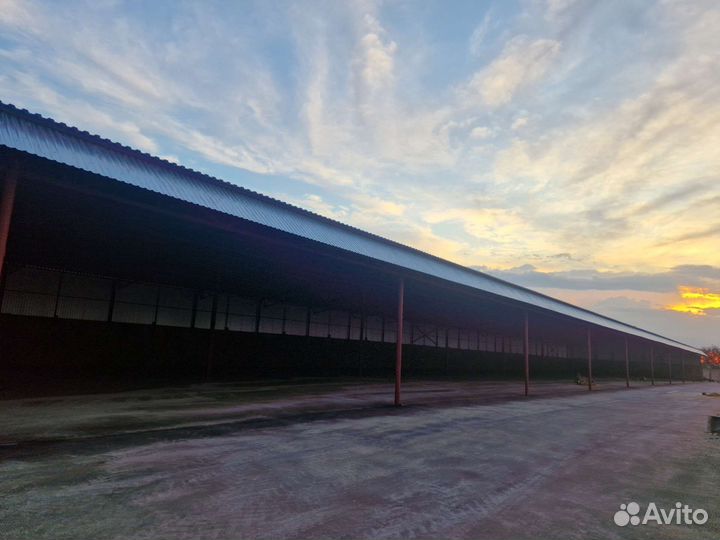 Требуются строители