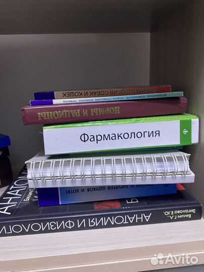 Большая книга по ветеринарной хирургии