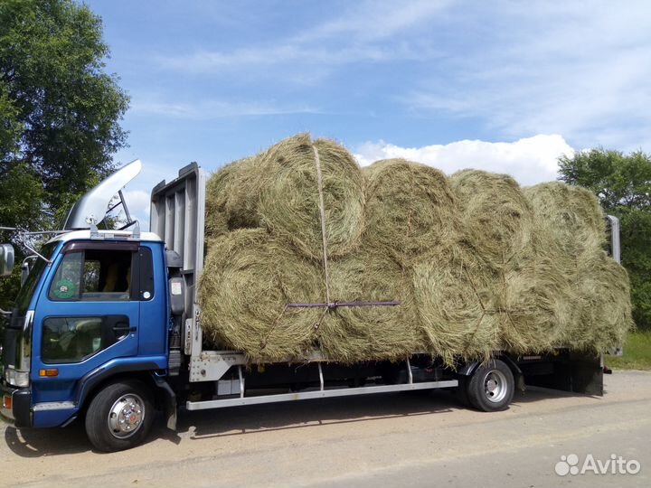 Продам сено, солому соевую в рулонах с доставкой