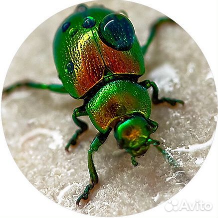 Значки, брелки, зеркальце