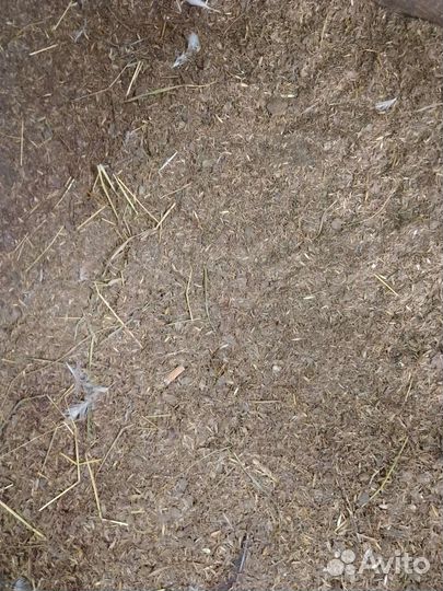 Удобрение куриный перегной